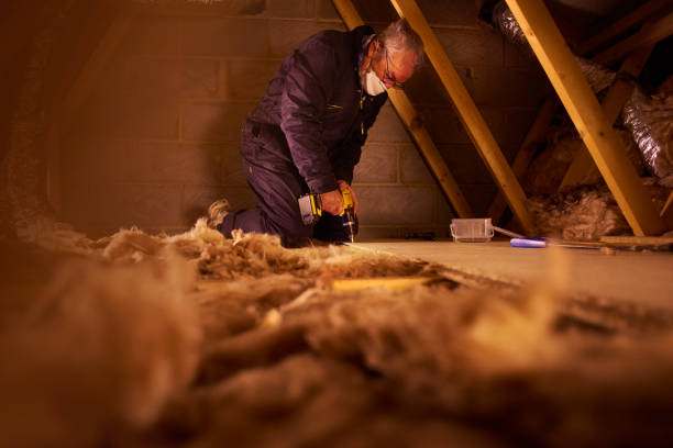 Best Insulation Removal  in Cedarburg, WI